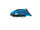 Neil Pryde Fly Wing C1 blue 2023